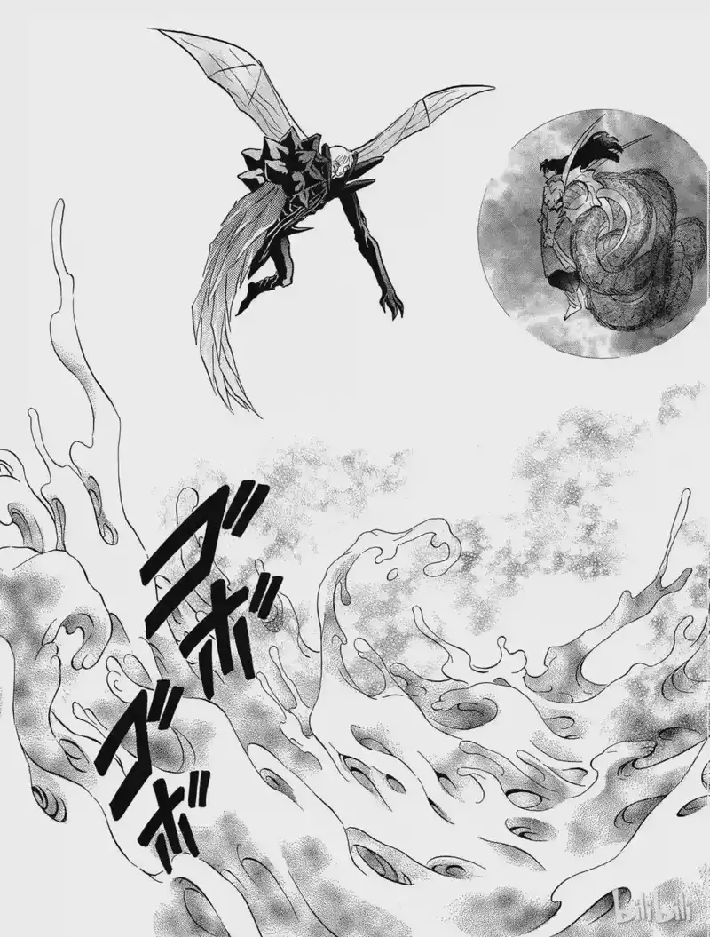 犬夜叉（WIDE版）_h 441 对峙 第13页