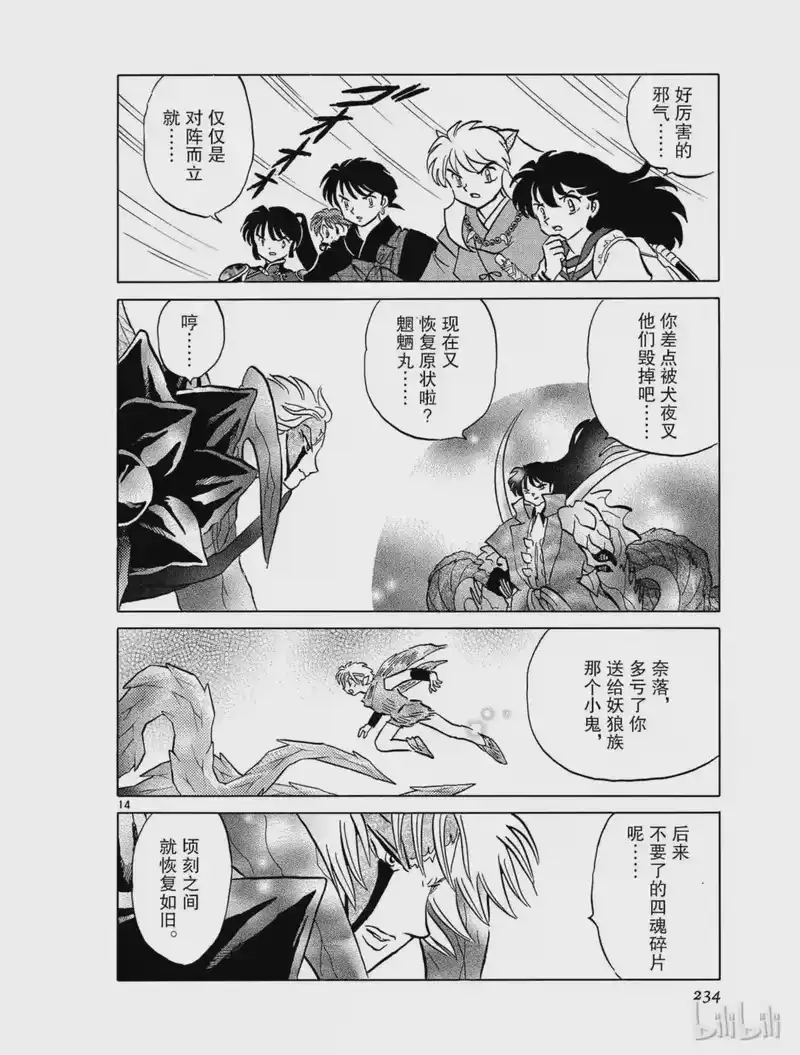 犬夜叉（WIDE版）_h 441 对峙 第14页