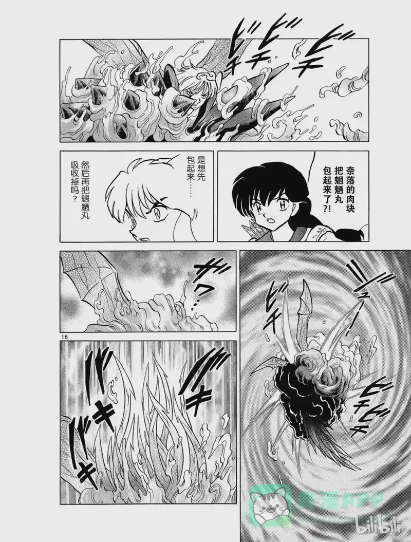 犬夜叉（WIDE版）_h 442 吸收 第16页