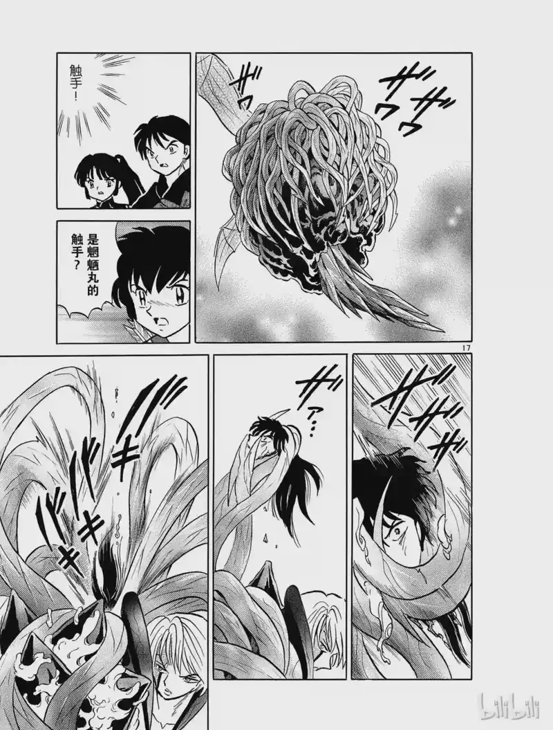 犬夜叉（WIDE版）_h 442 吸收 第17页