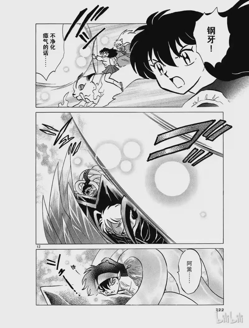 犬夜叉（WIDE版）_h 446 侵蚀 第12页