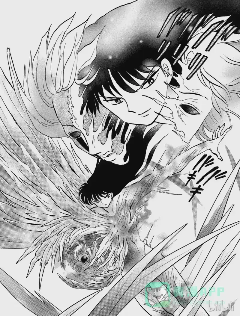 犬夜叉（WIDE版）_h 446 侵蚀 第16页