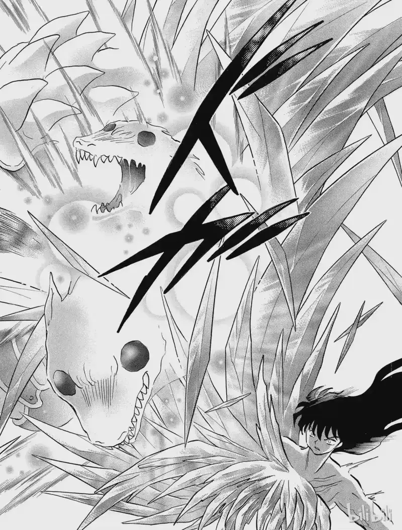 犬夜叉（WIDE版）_h 447 护佑 第13页
