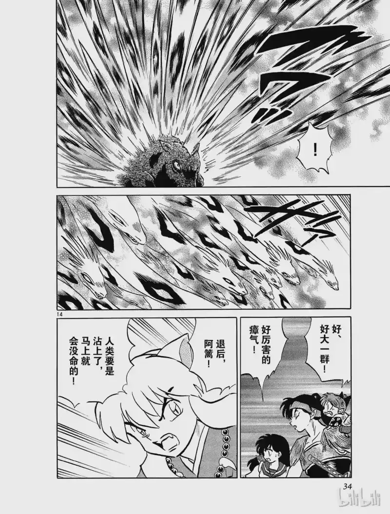 犬夜叉（WIDE版）_h 449 山岚 第14页