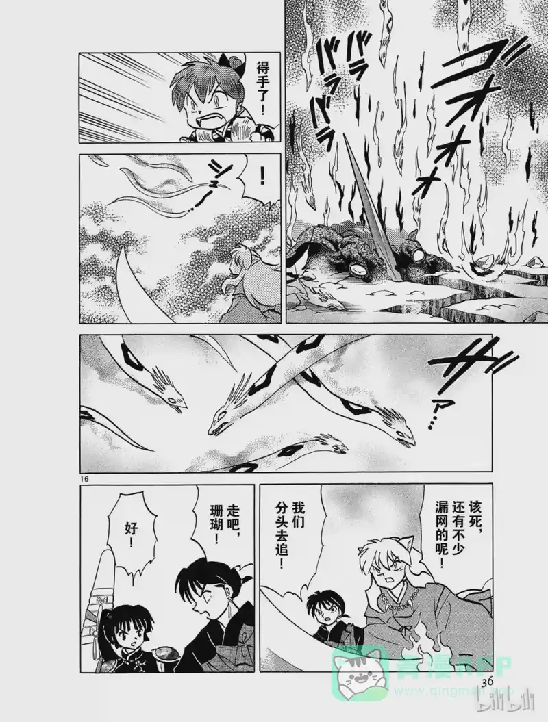 犬夜叉（WIDE版）_h 449 山岚 第16页