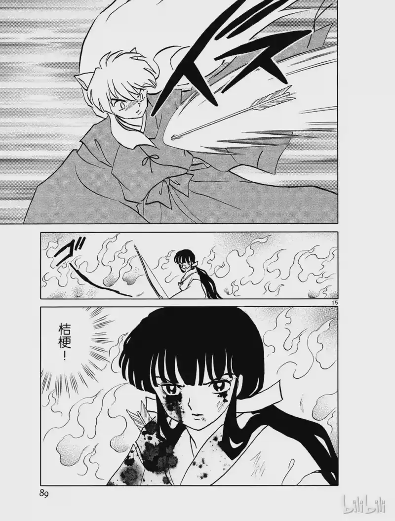 犬夜叉（WIDE版）_h 452 蜘蛛丝 第15页