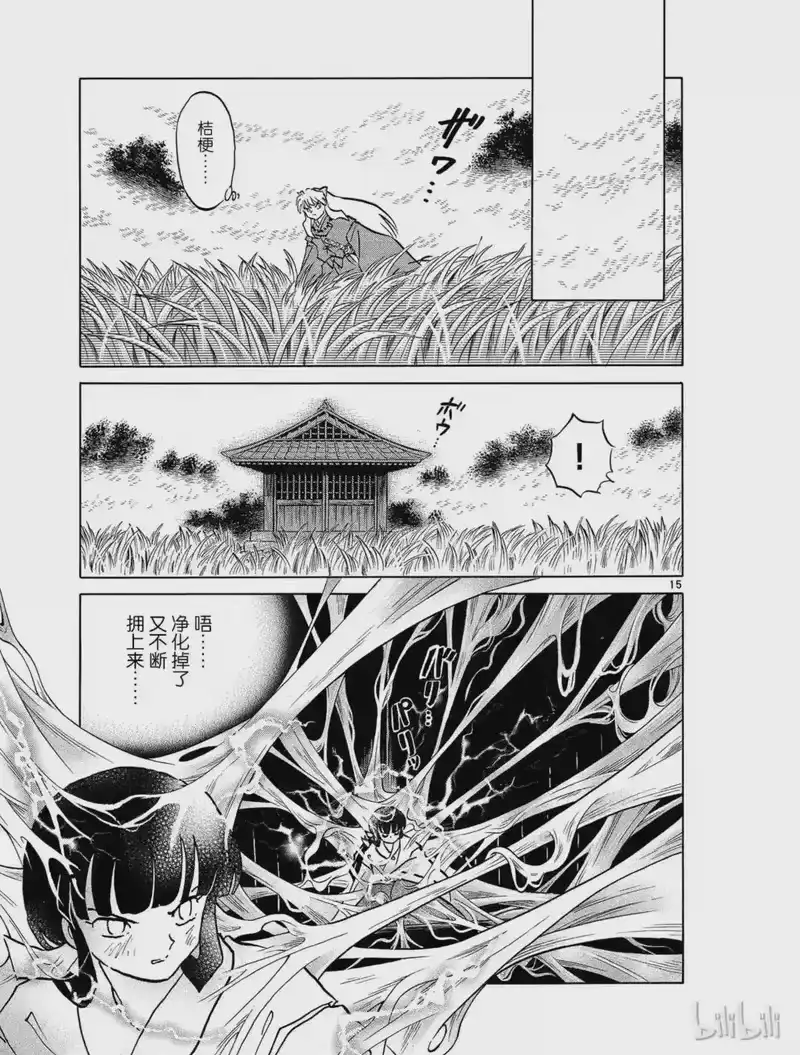 犬夜叉（WIDE版）_h 453 缠绕之丝 第15页