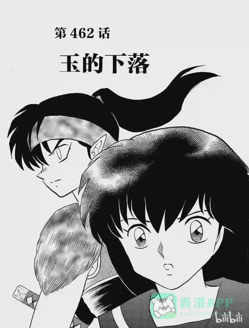犬夜叉（WIDE版）_h 462 玉的下落 第1页