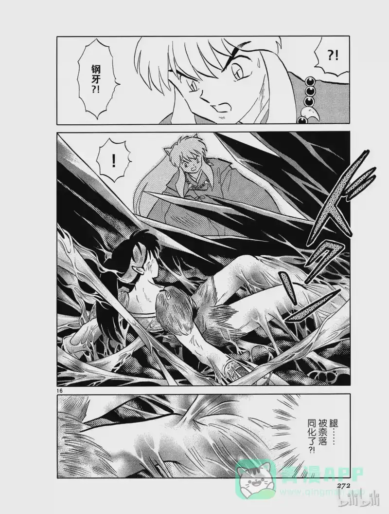 犬夜叉（WIDE版）_h 462 玉的下落 第16页