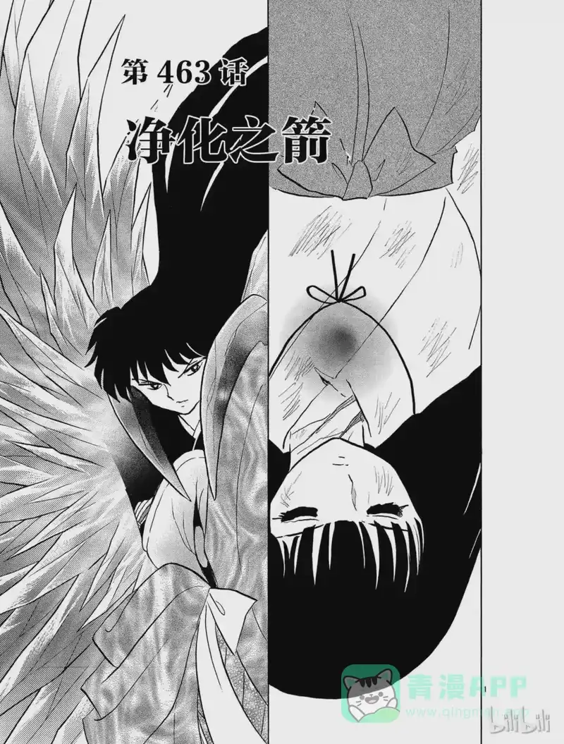 犬夜叉（WIDE版）_h 463 净化之箭 第1页