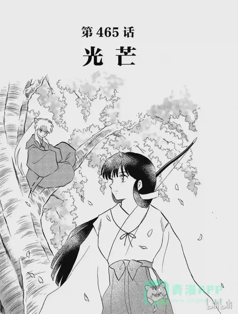 犬夜叉（WIDE版）_h 465 光芒 第1页