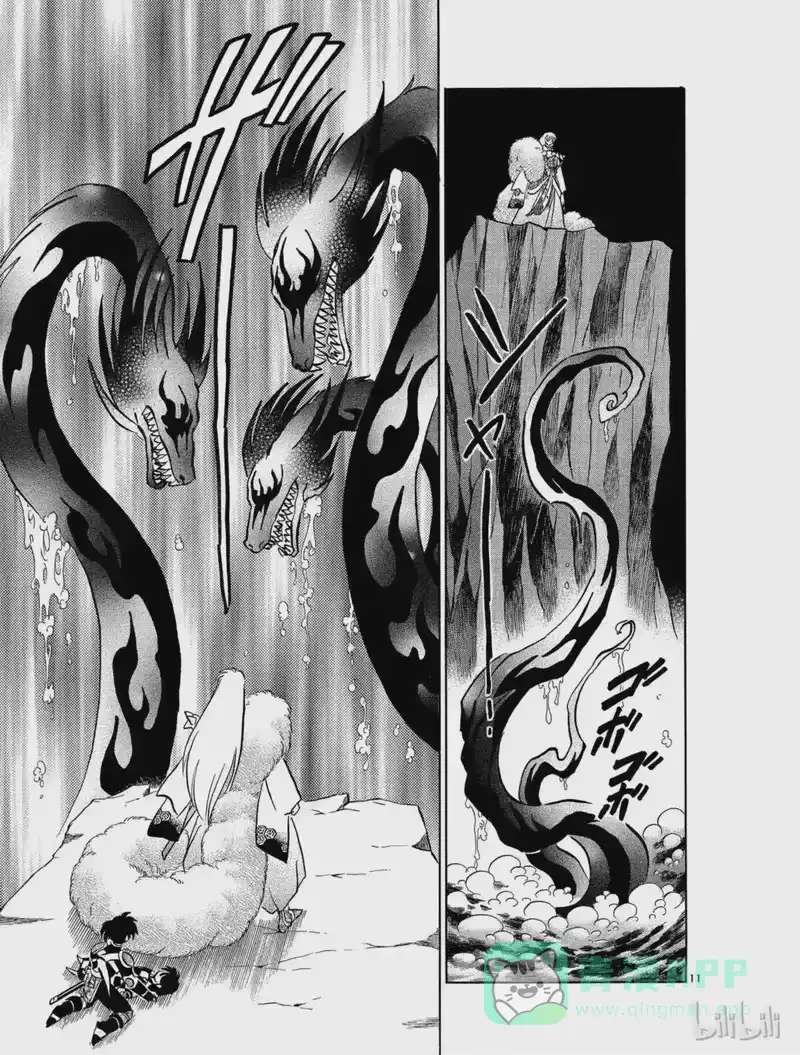 犬夜叉（WIDE版）_h 468 冥界的暗域 第11页