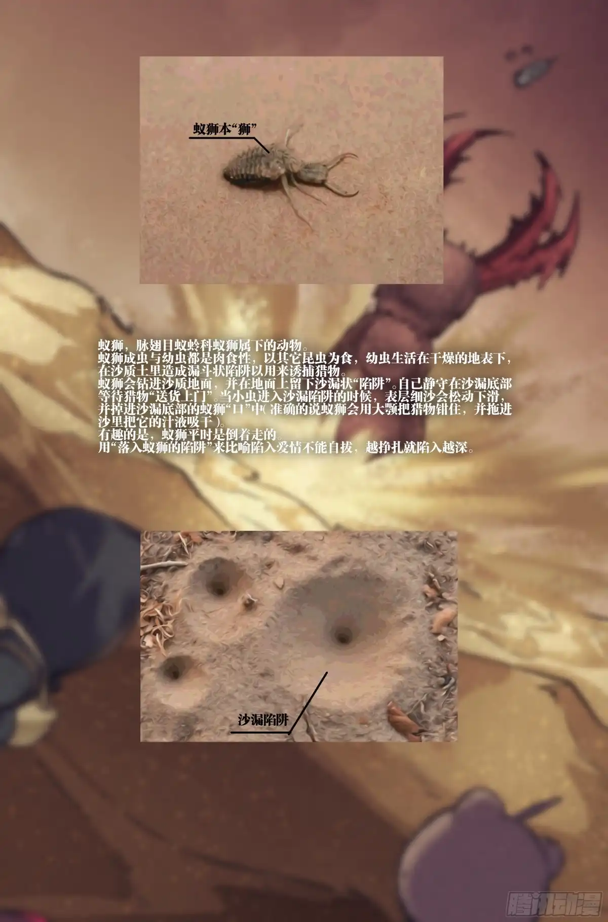 我在末世当网管 22.沙城贼影之章·蚁狮的陷阱 第20页