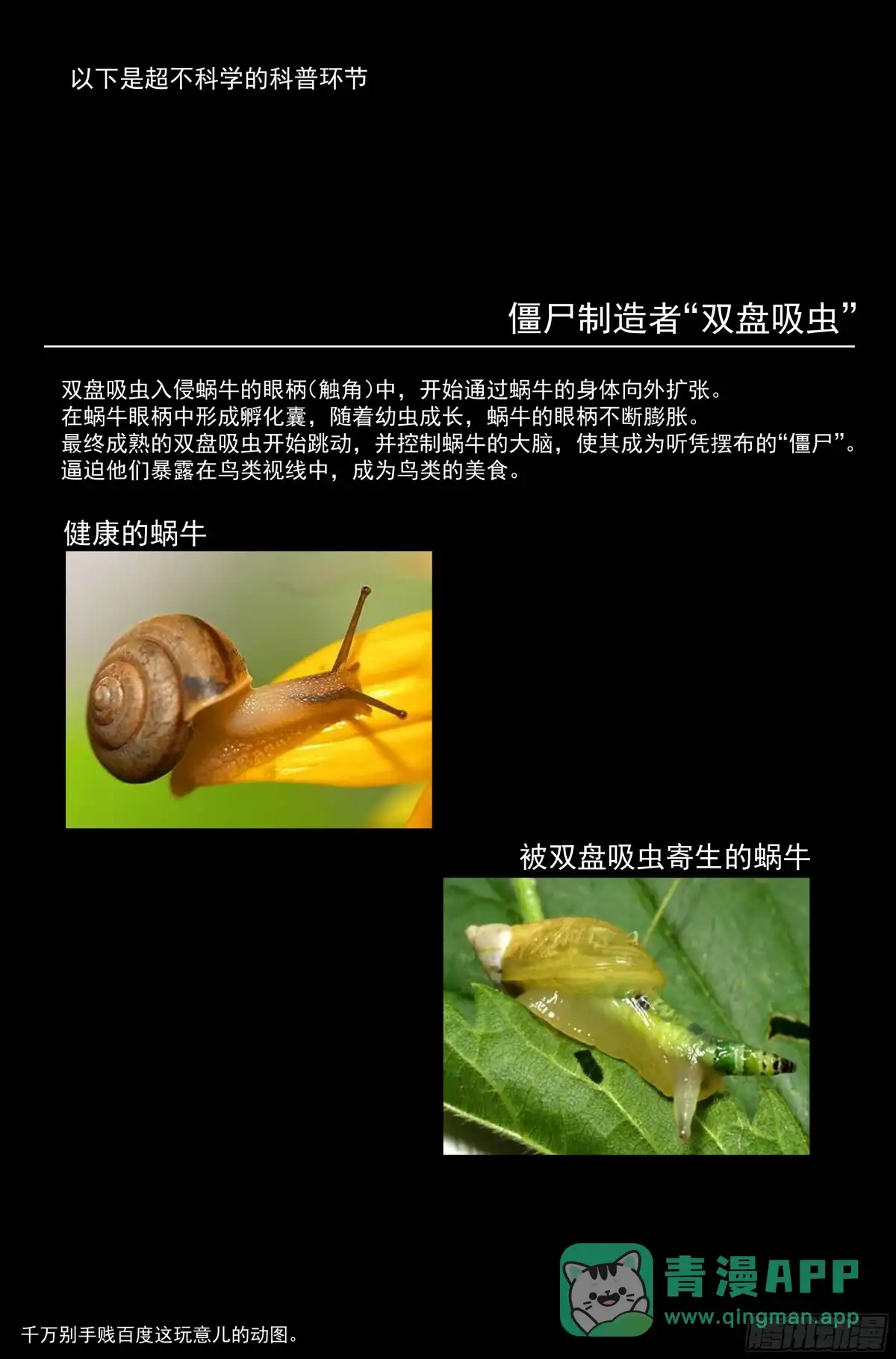 我在末世当网管 50.勇气默示录（上篇） 第16页
