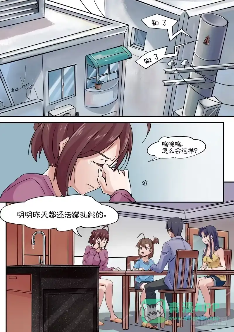 分裂女神 第二话 身后事，我还没死啊，喂！！ 第1页