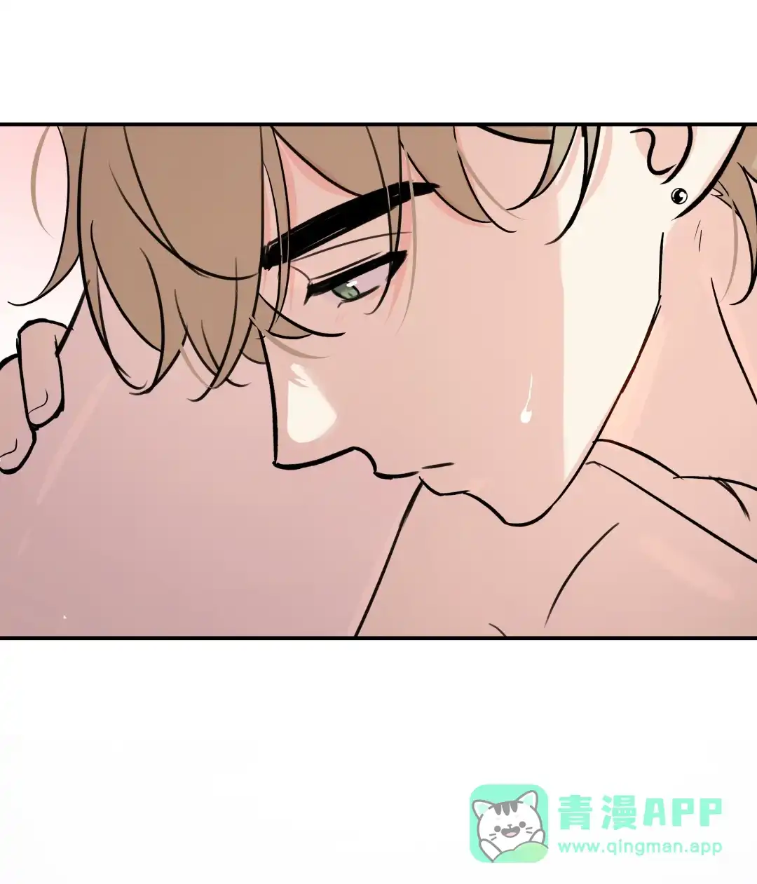 虎嗅蔷薇. 戴上那个 第6页