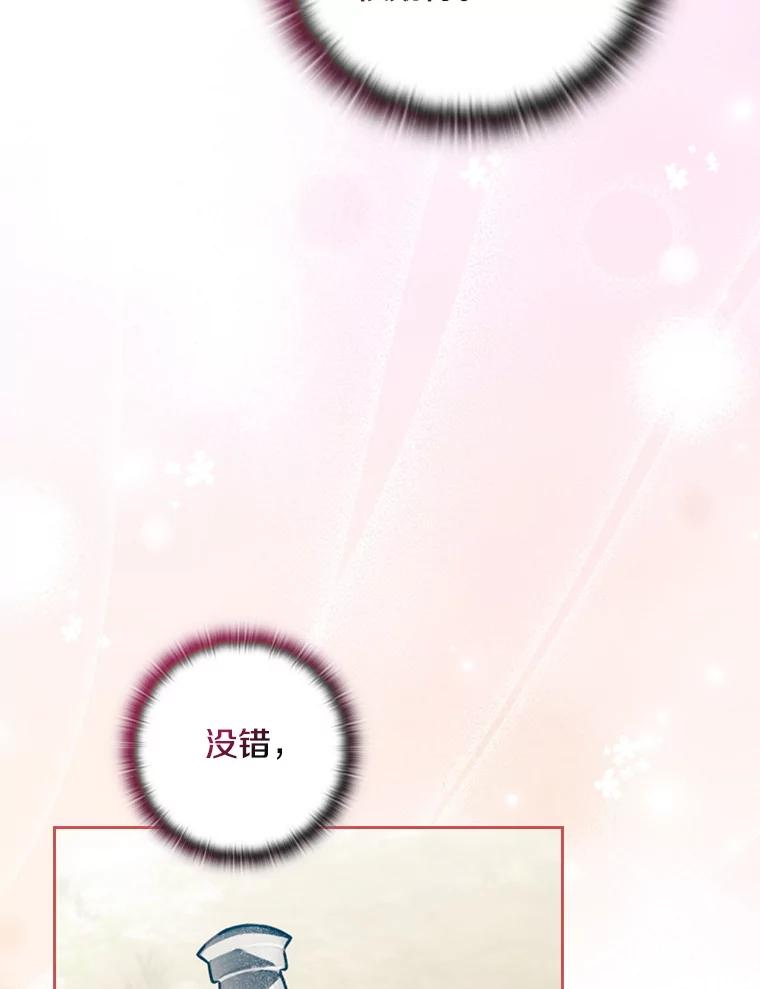 第224页
