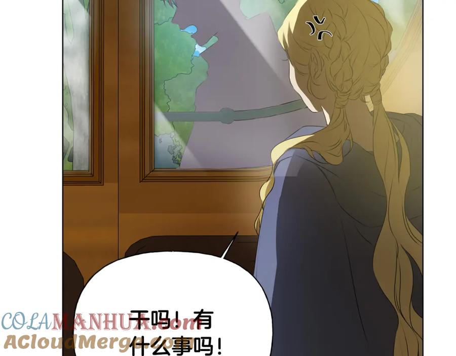 第205页