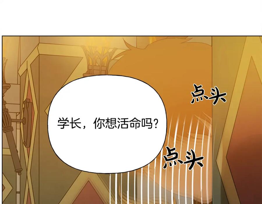 第204页