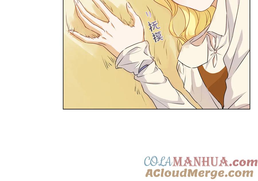 第205页