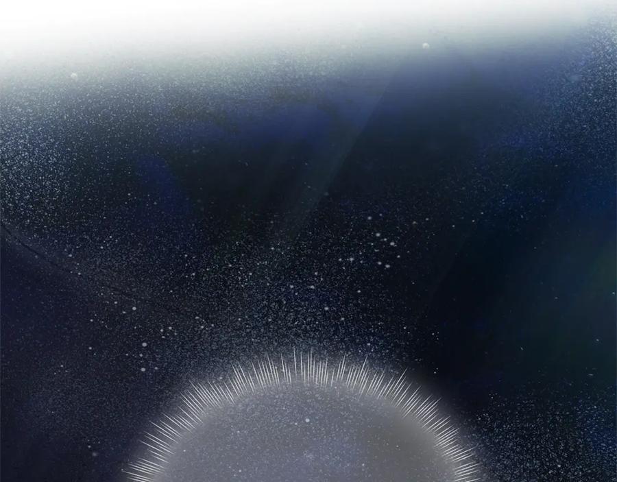 第196页