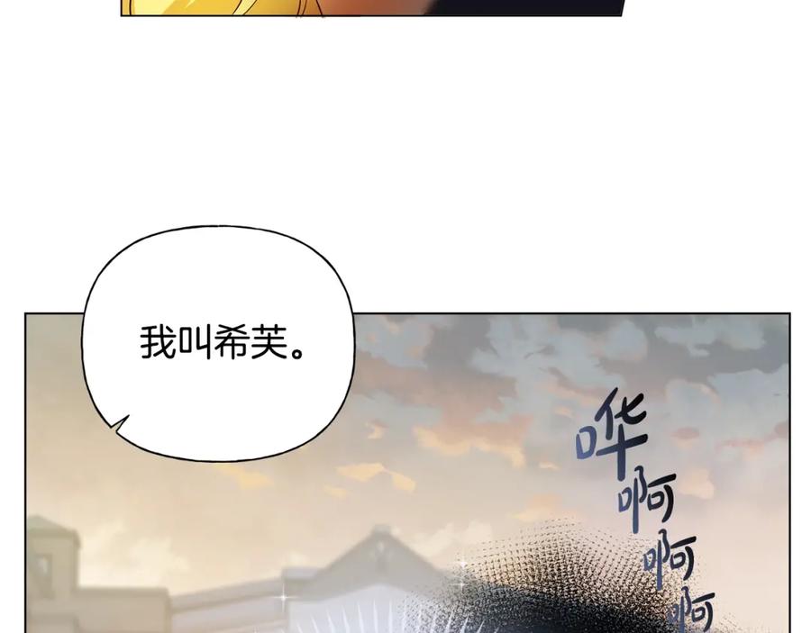 第204页