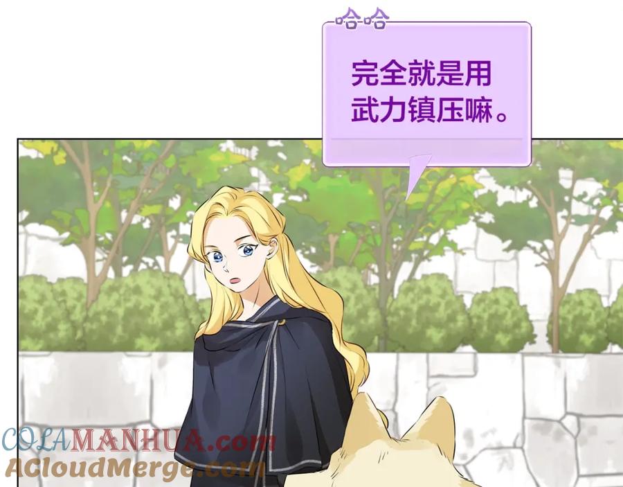 第213页