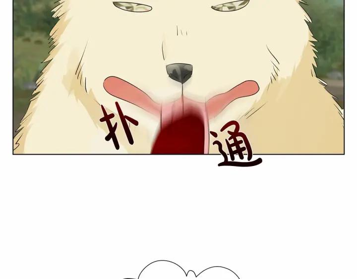 第194页