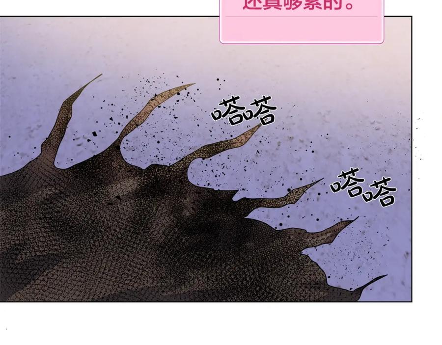 第206页