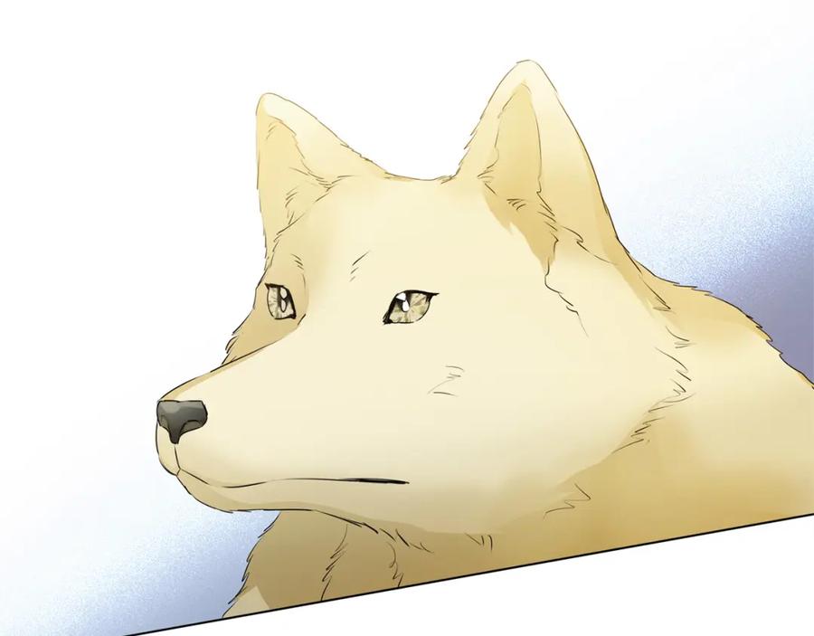 第187页