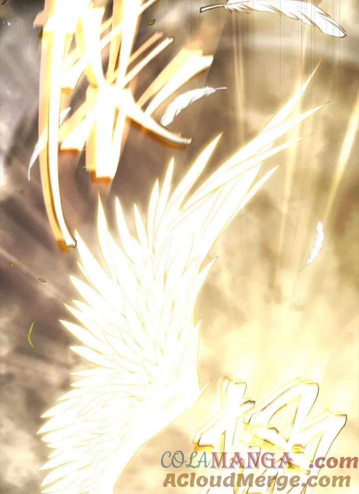 第205页