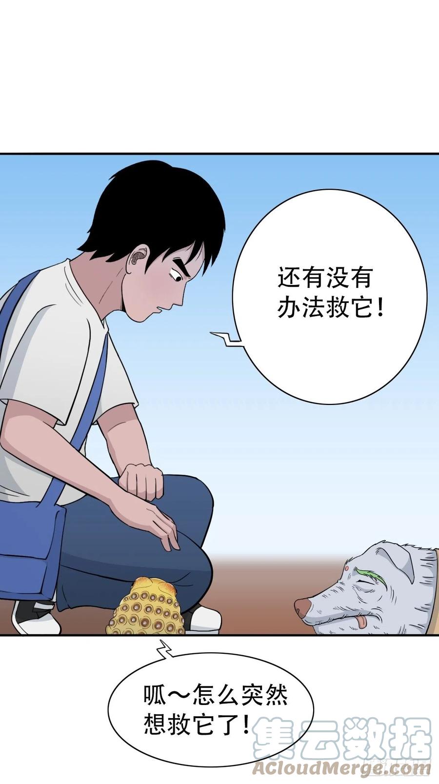 第85页