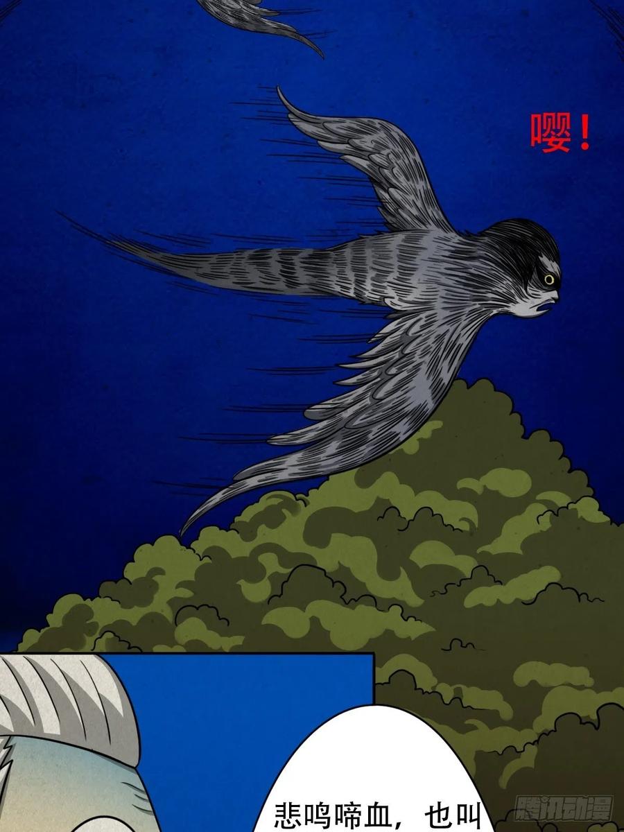 第170页