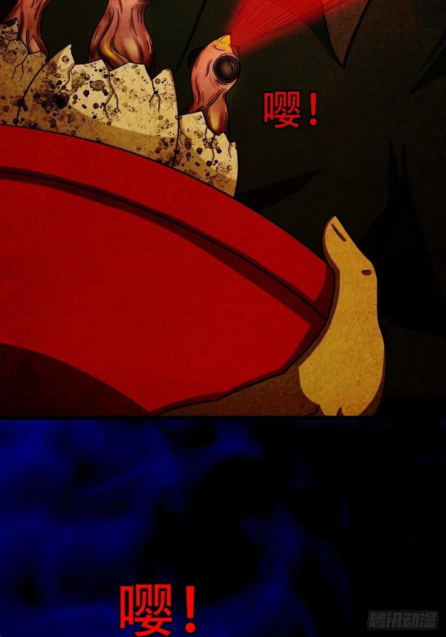 第204页