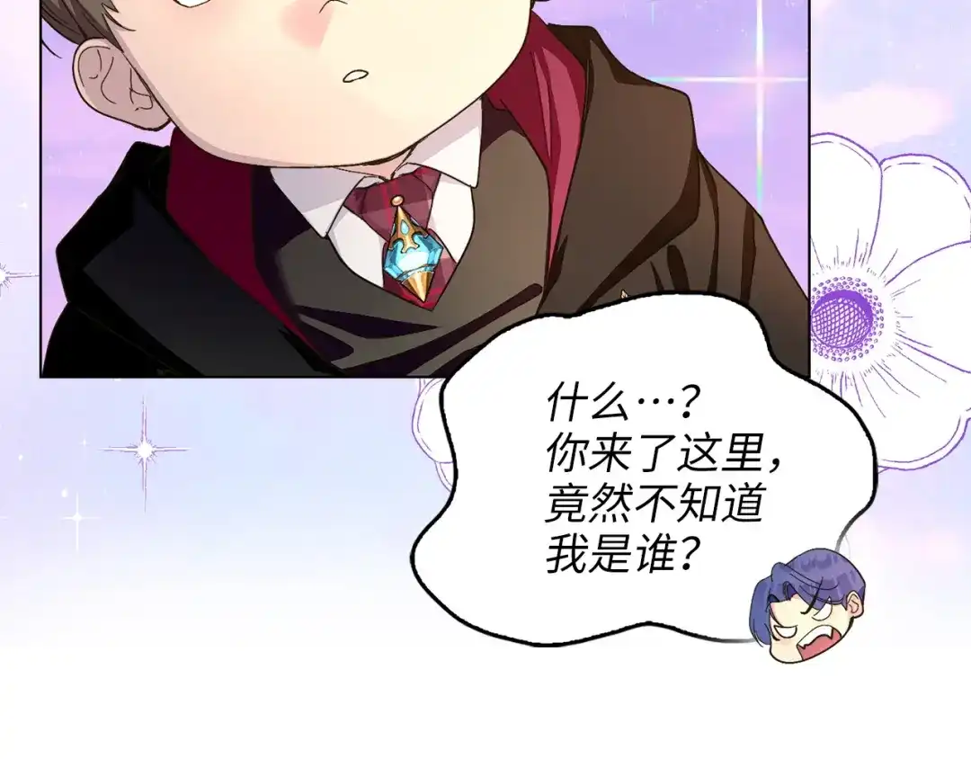 第255页