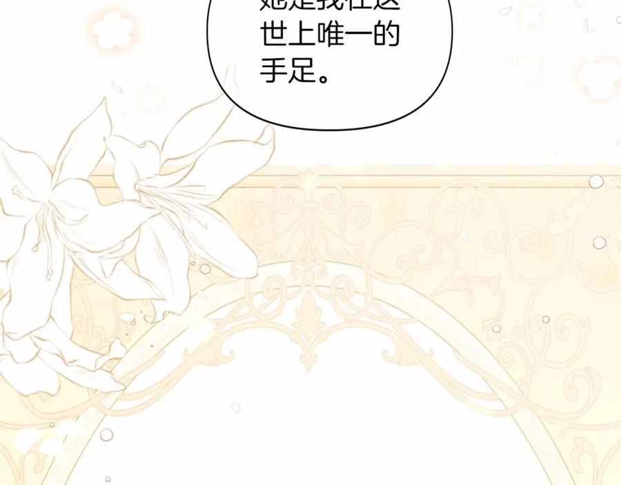 第244页