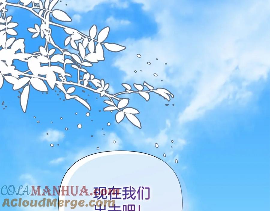 第233页