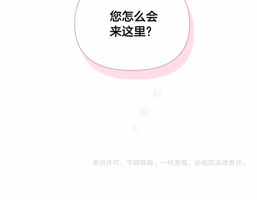 第239页