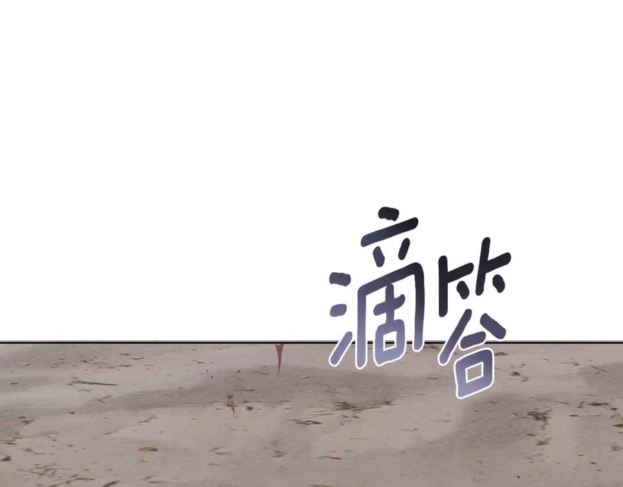 第215页