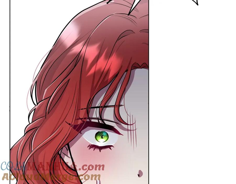 第229页