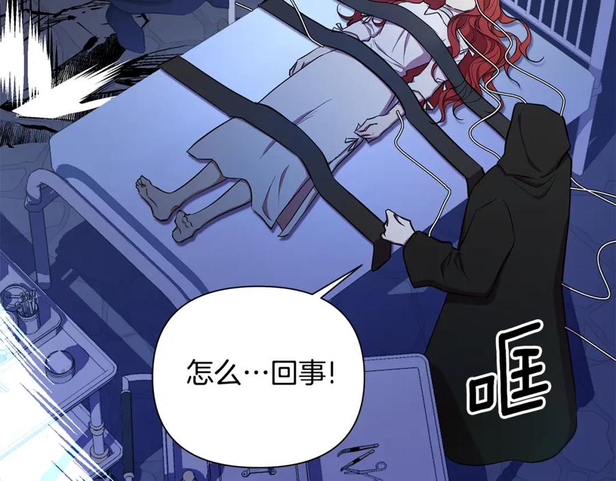 第231页