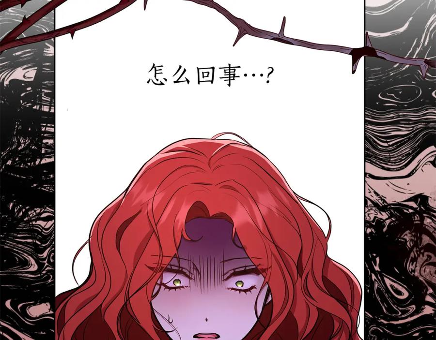 第246页