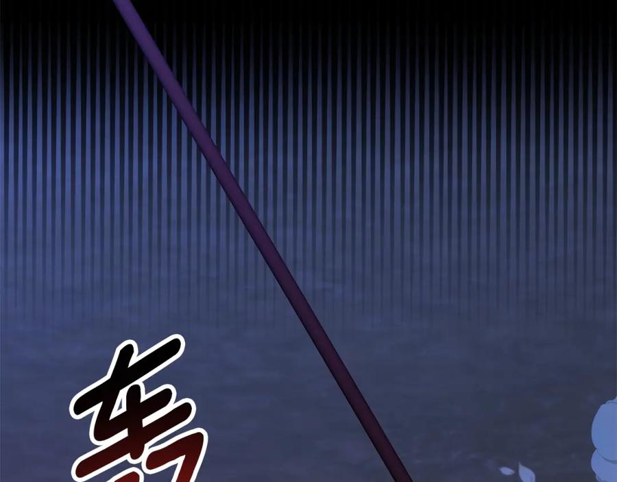 第215页