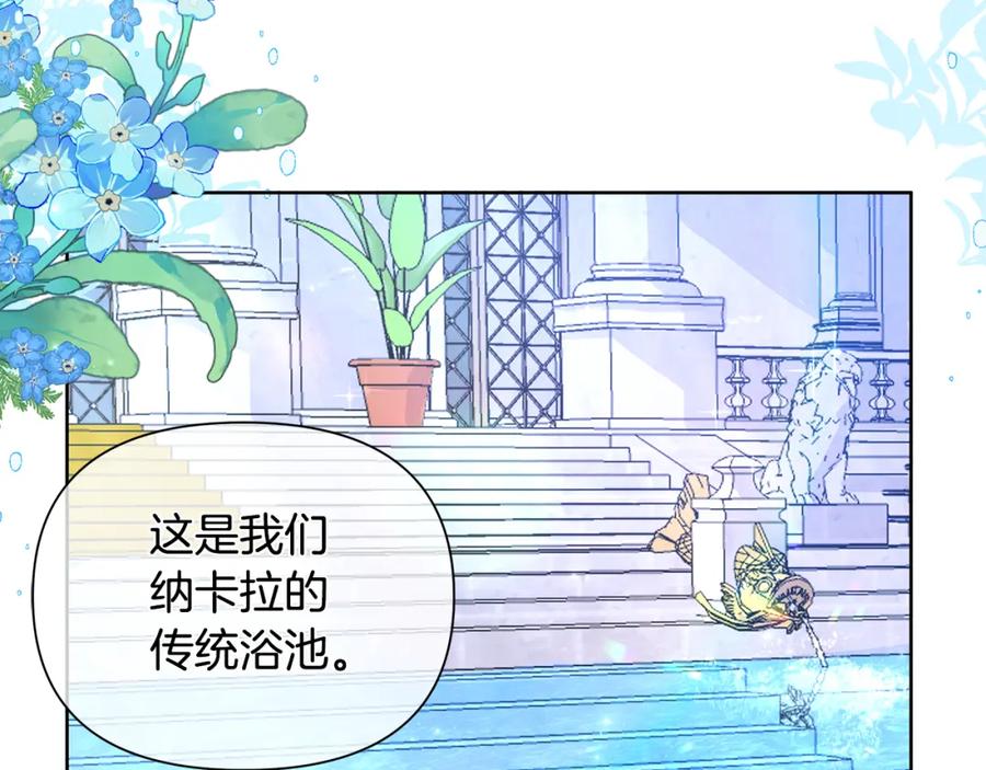 第234页