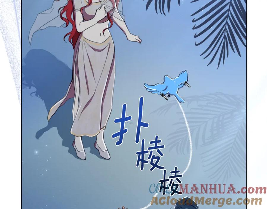 第205页