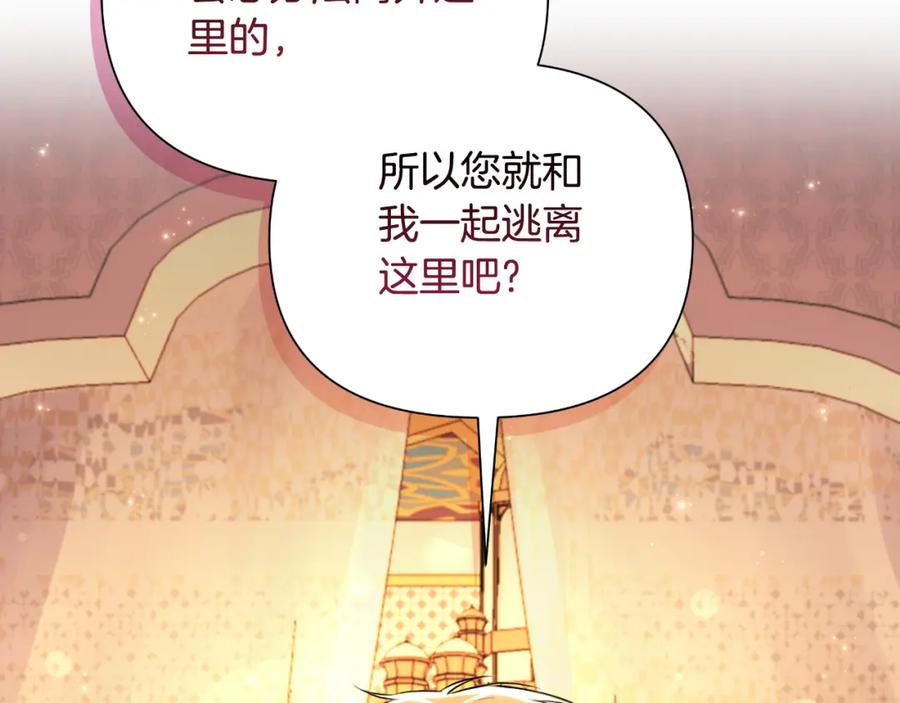第242页