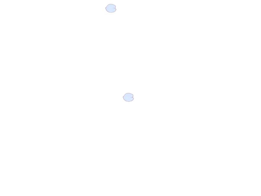 第223页