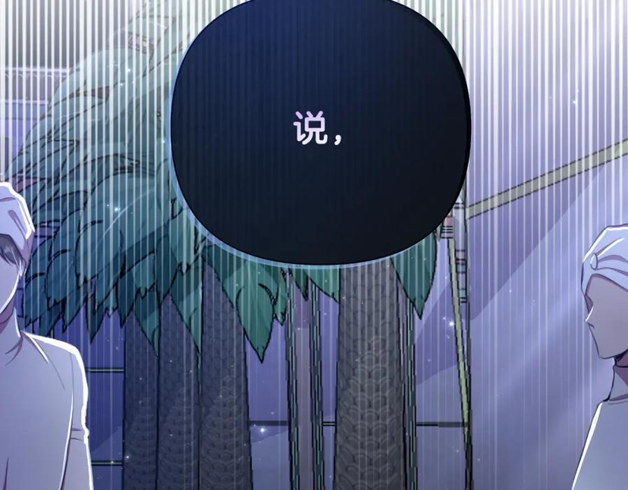 第244页