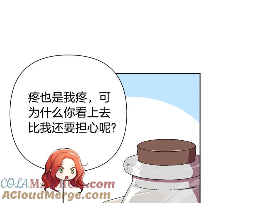 第205页