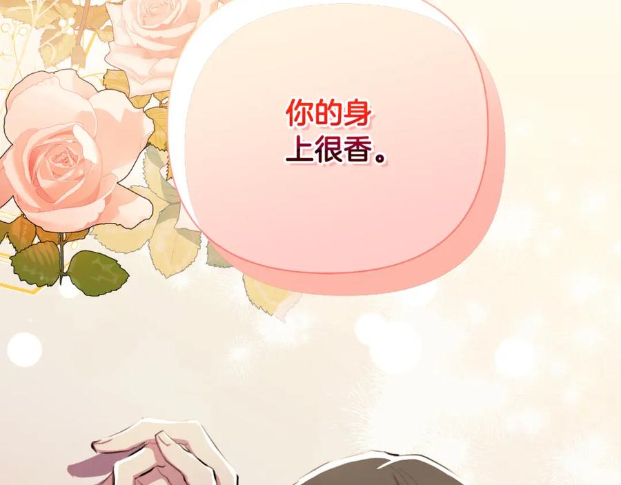 第224页